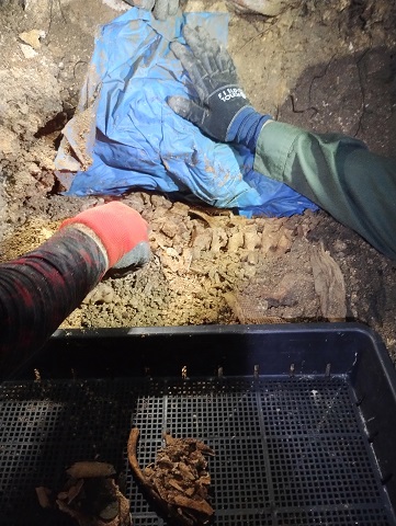 沖縄調査2025 11月④