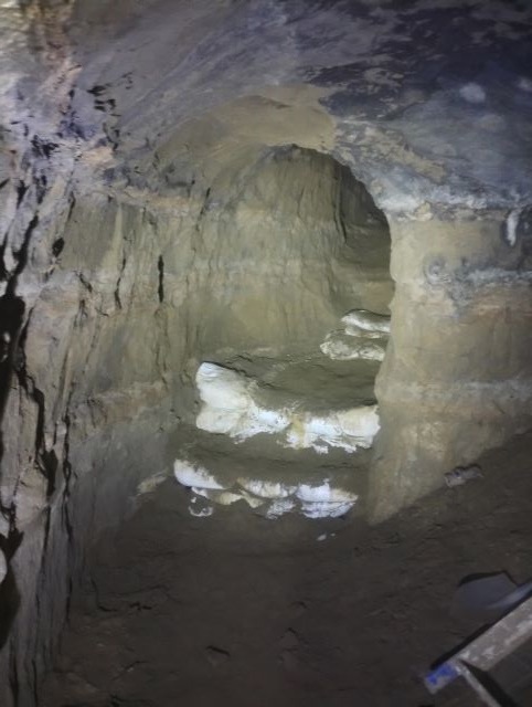 沖縄調査2026年 1月①