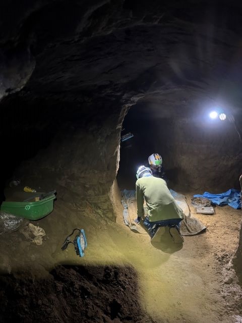 沖縄調査2026年 1月①