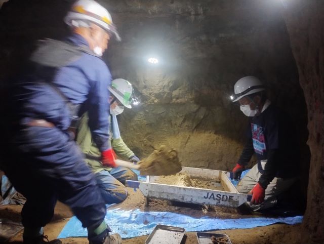 沖縄調査2026年 1月①