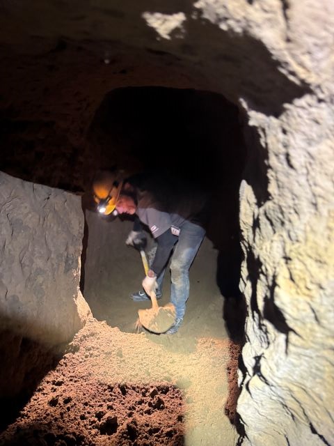 沖縄調査2026年 1月①