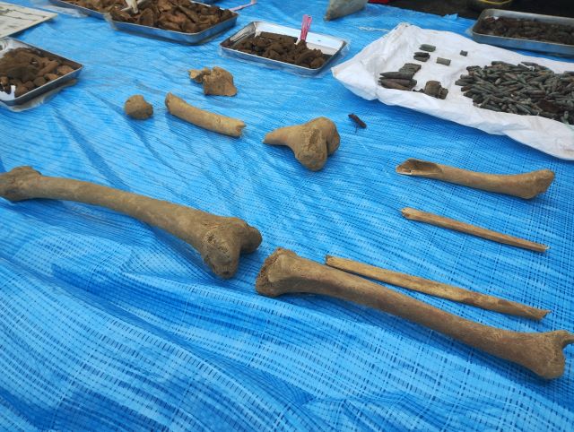 沖縄調査2026年 1月①