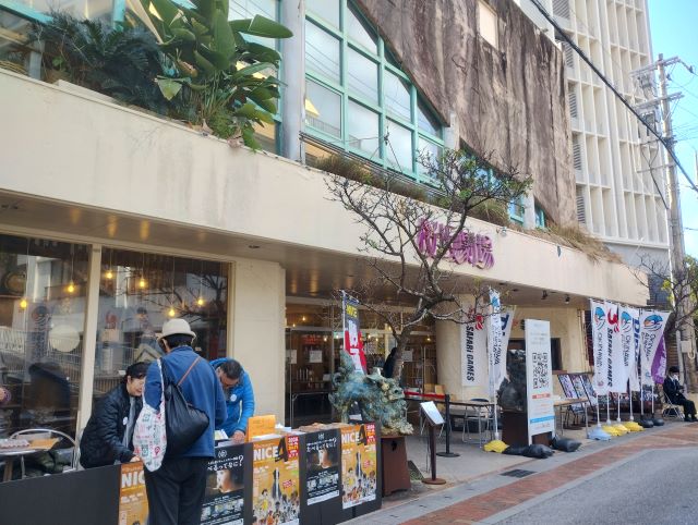 沖縄調査2026年 1月 番外編