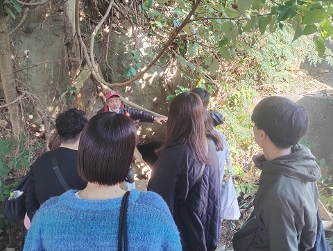 沖縄調査2026年 1月②