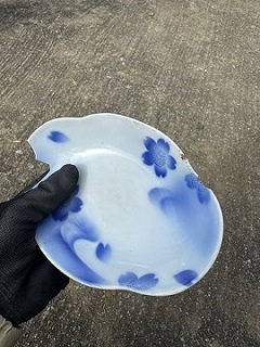 沖縄調査2026年 1月②