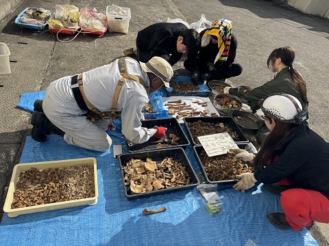 2月沖縄調査　初日（2月22日）