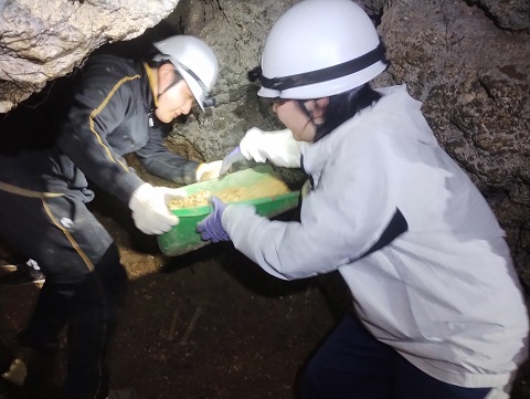 2月沖縄調査　3日目（2月24日）