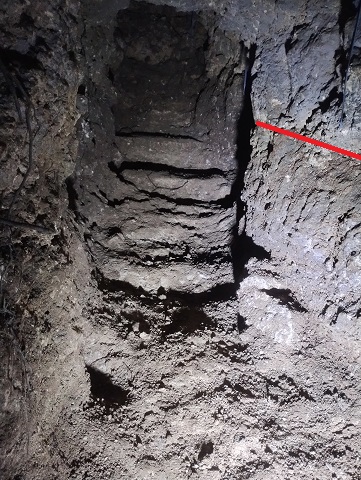 2月沖縄調査　3日目（2月24日）