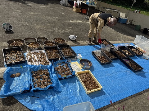 2月沖縄調査　3日目（2月24日）