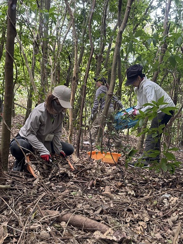 ４月沖縄 遺骨収容 初日