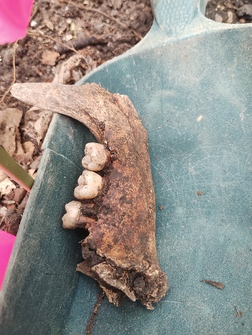 ４月沖縄 遺骨収容 初日