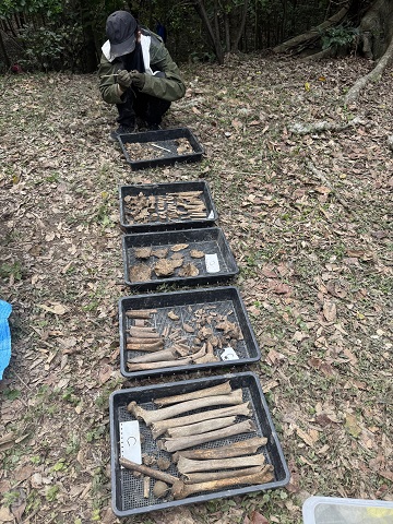 ４月沖縄 遺骨収容 3日目